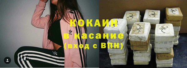 шишки Нязепетровск