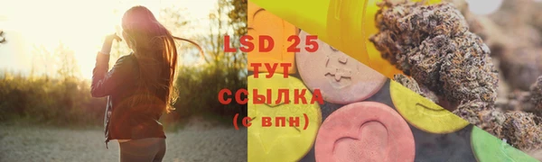 шишки Нязепетровск