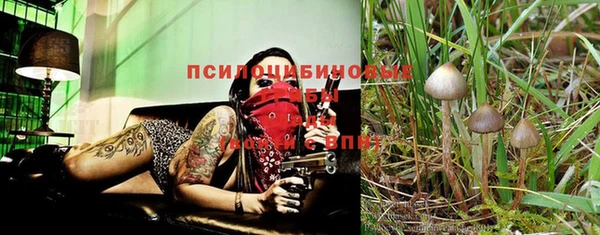 Альфа ПВП Абдулино