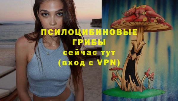 ешки Абинск