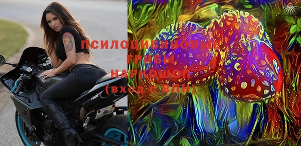 шишки Нязепетровск