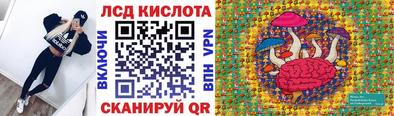 купить закладку  Нестеровская  Наркотические марки 1,5мг 